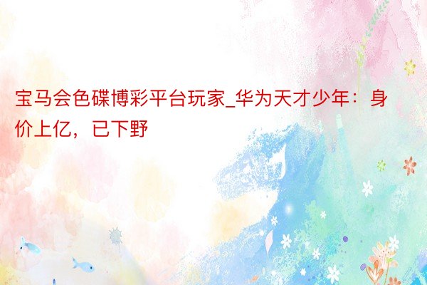 宝马会色碟博彩平台玩家_华为天才少年：身价上亿，已下野